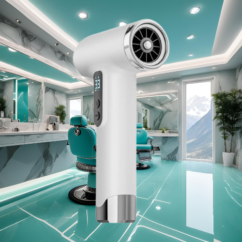 Turbofan Dust Hair Dryer